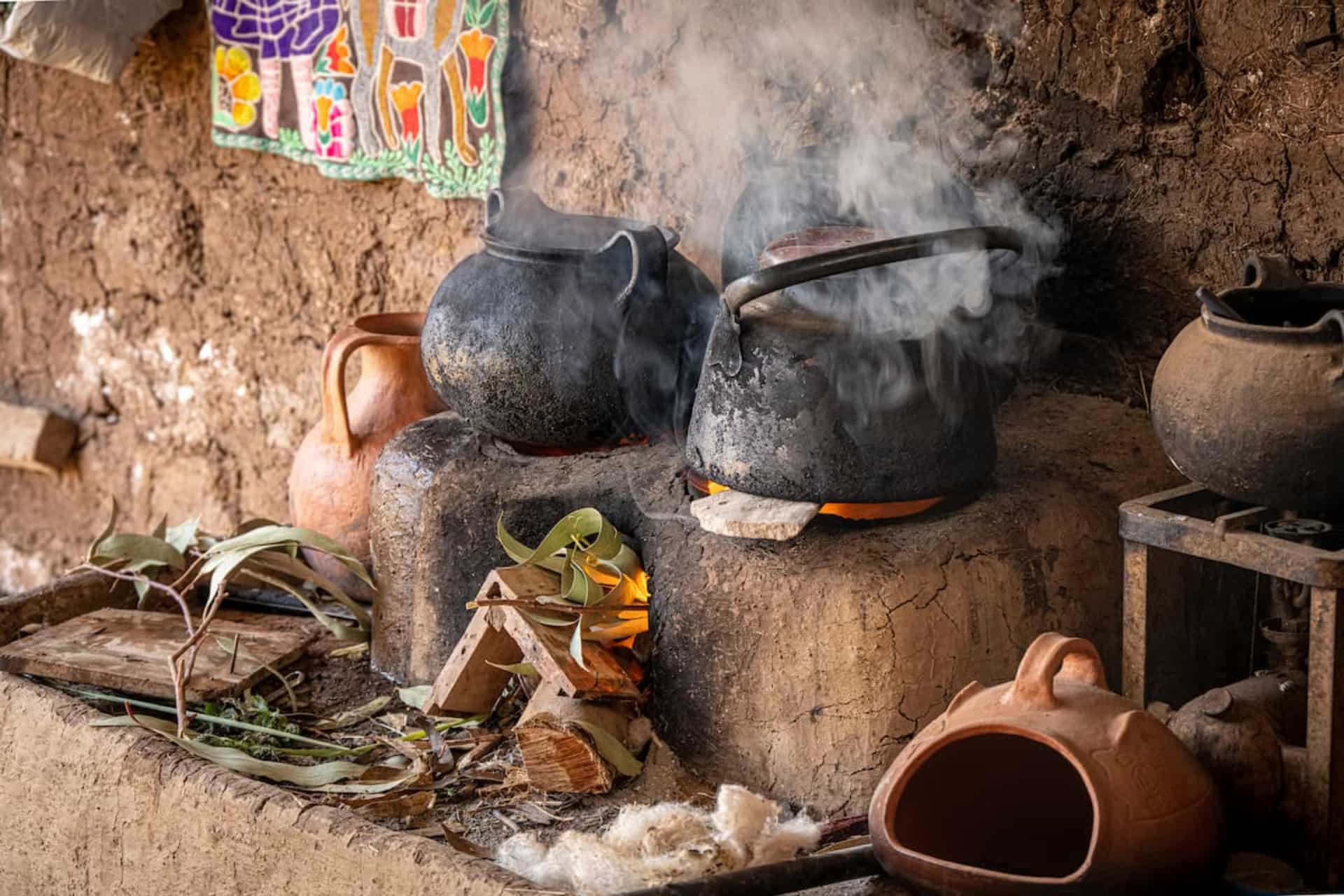 A brief overview of the history of cooking