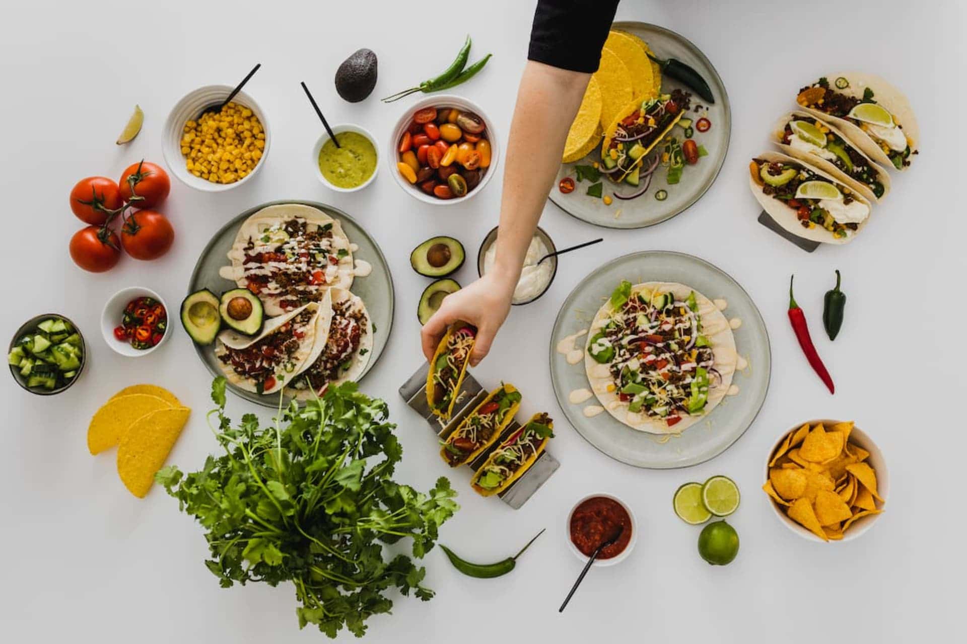 What is plate photography and why is it important?