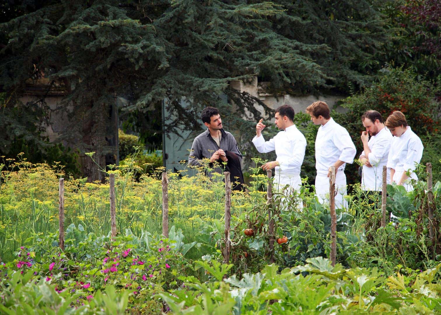 Culinary trends: the latest in gourmet food innovation