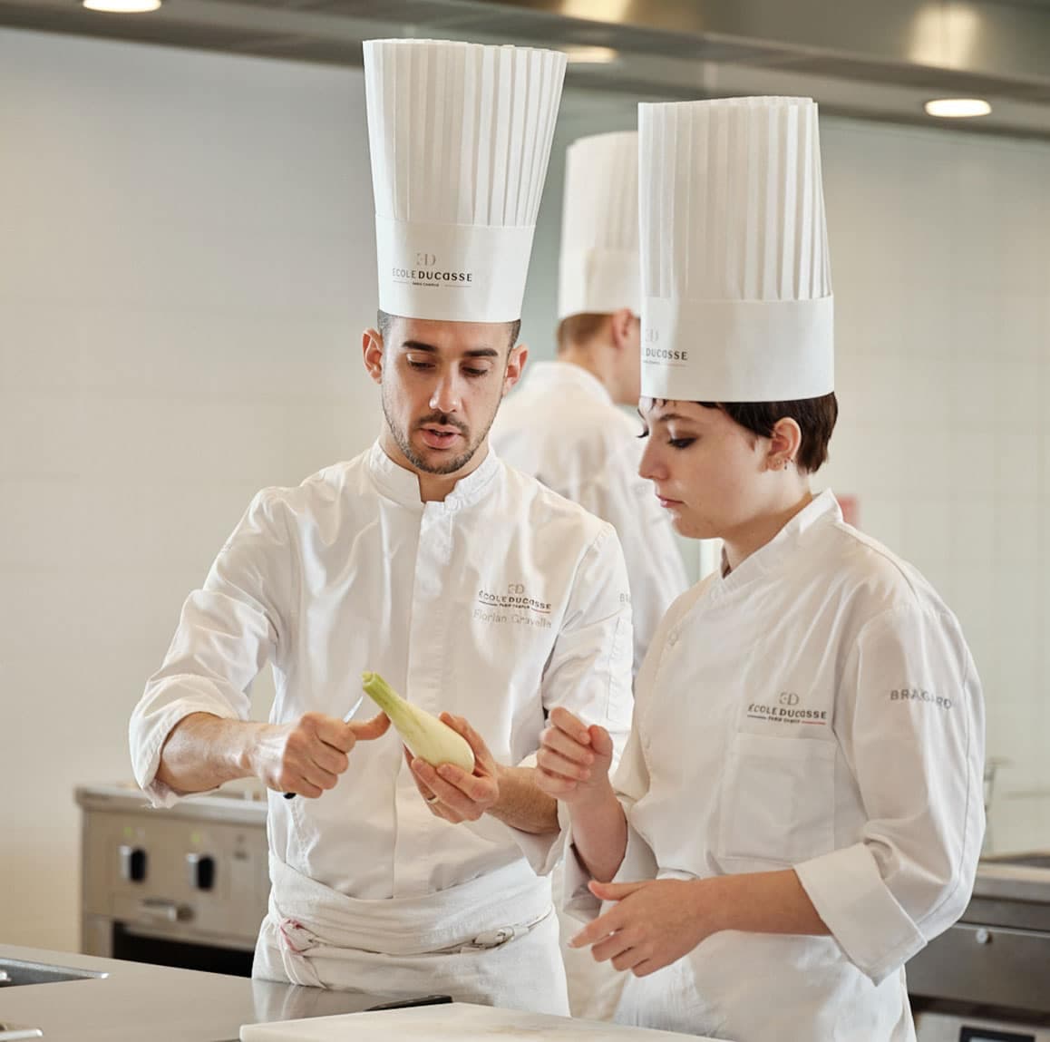 Diploma en ARTS CULINAIRES