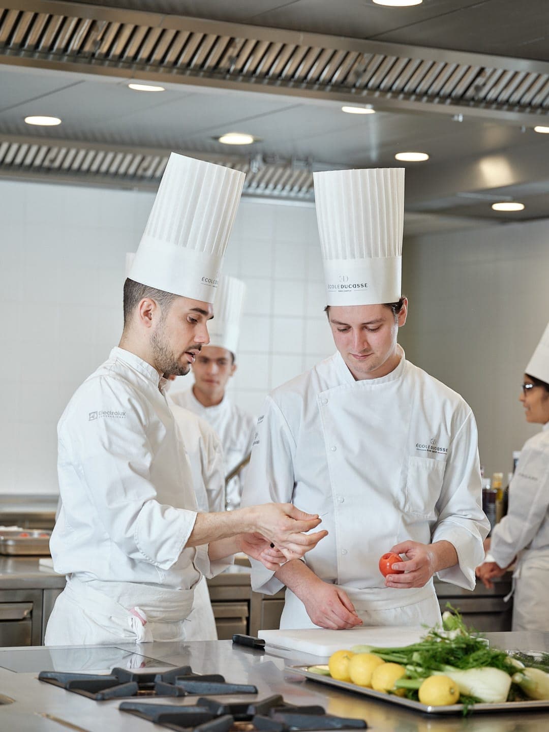 Les bases techniques de la cuisine