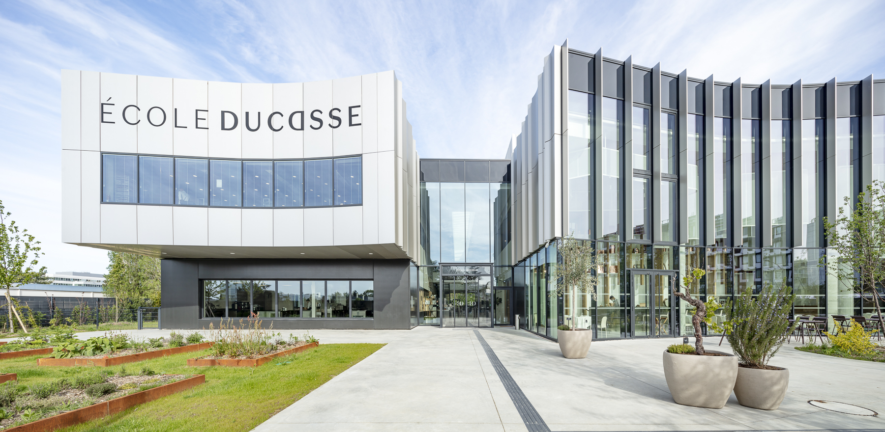 Ducasse