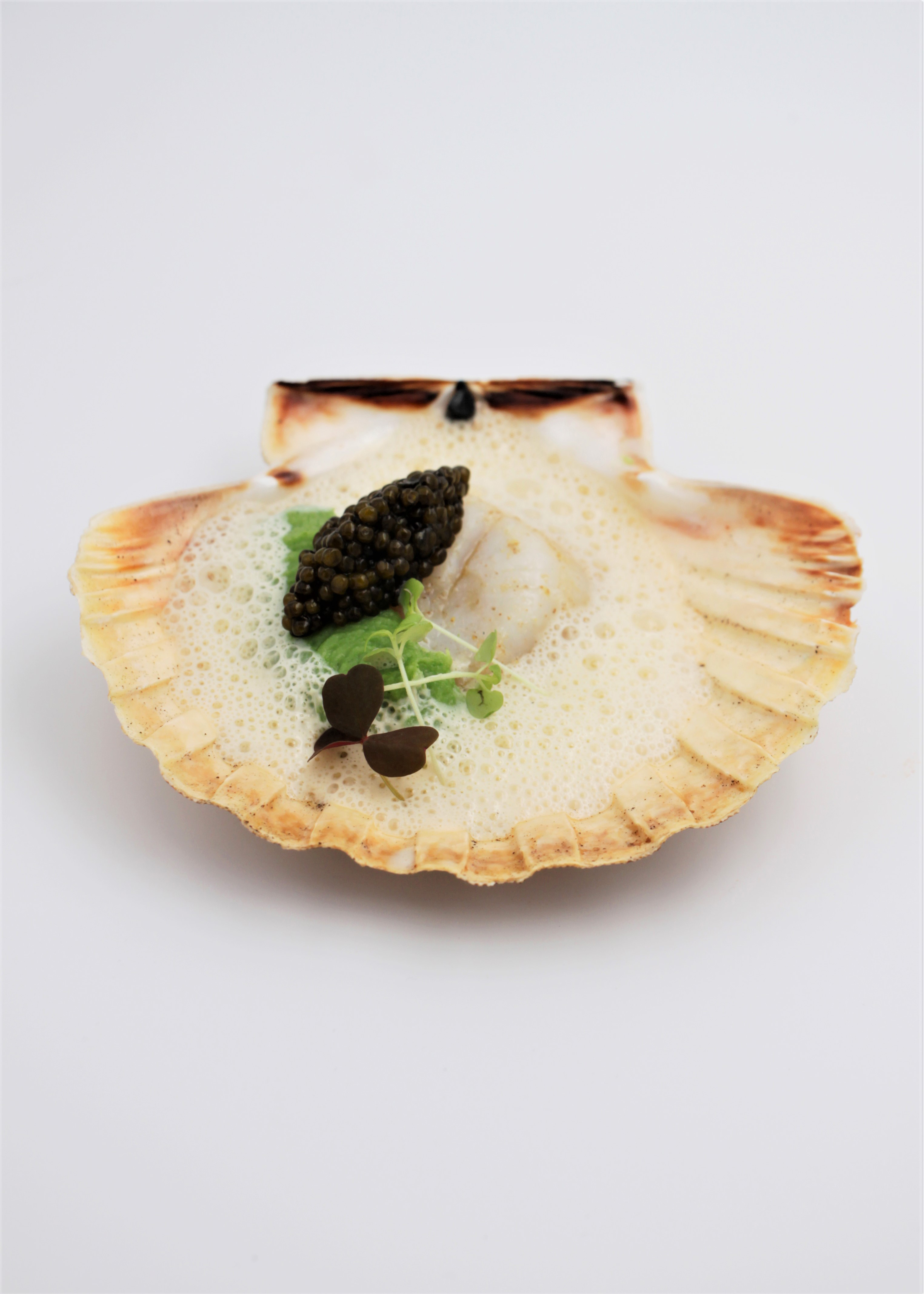 Ducasse