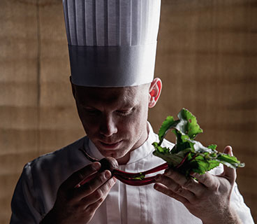 Ducasse