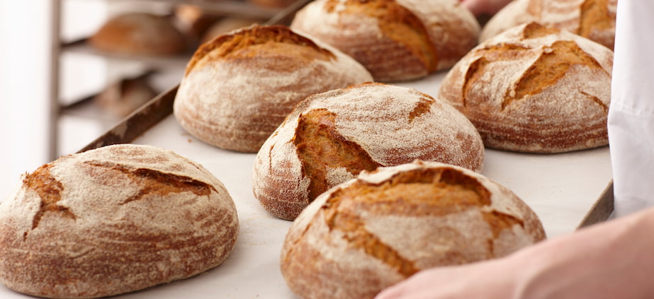 skills needed for baking to excel